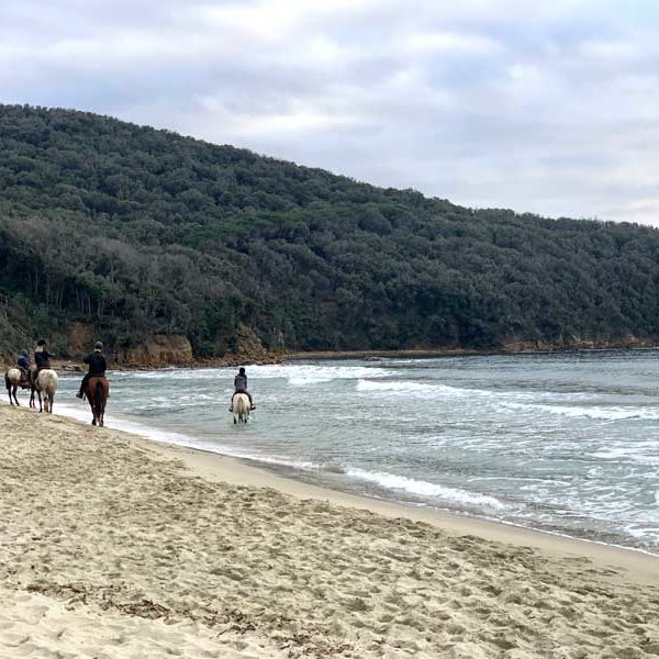Cala Violina dintorni Castiglione della Pescaia Casa Vacanze la Vecchia Fornace